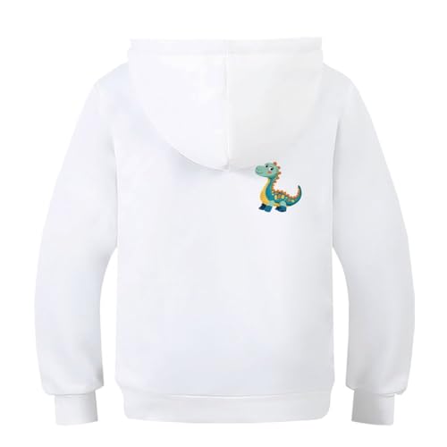 Pull à manches longues dinosaure pour récréation et loisirs - 2