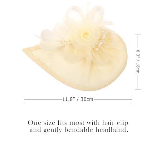 Image of DRESHOW Women Fascinator Hats Tea Party Hat Vintage Pillbox Hat Headband for Cocktail