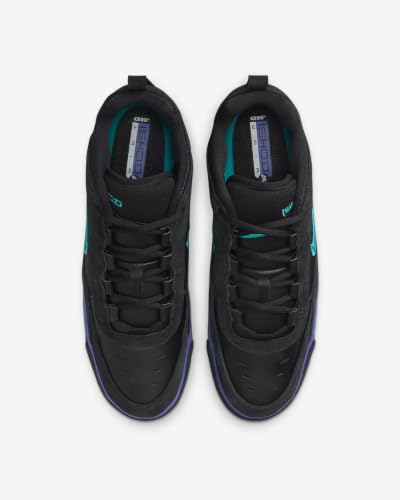 Image of NIKE SB ISHOD 2 AIR MAX BLACK / DUSTY CACTUS-BLACK-PERSIAN VIOLET
