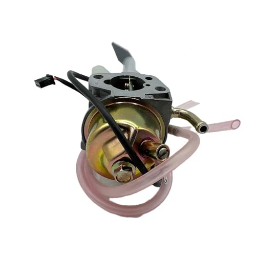 Carburateur pour IX2000 régulation essence stable 005793-0