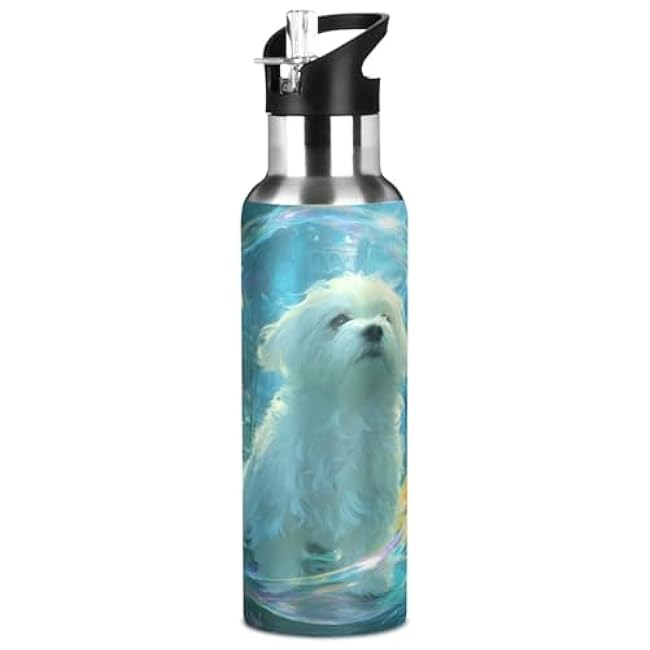 ALAZA Fire Rainbow Dragon Water Bottle with Straw Lid Vacuum Insulated Stainless Steel Thermo Flask Water Bottle 20oz
