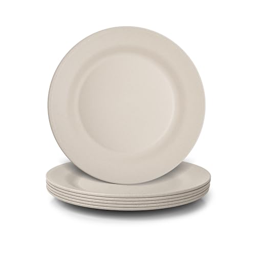 JSYMJSY 25cm Unbreakable Plates, 6pcs Plastic Dinner Plates Reusable