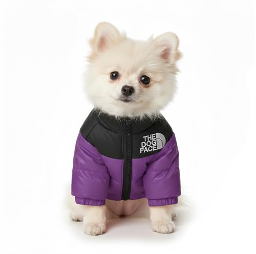 Chaqueta de Invierno para Perros The Dog Face, Abrigo Cortavientos con Cremallera, Chaleco Térmico en Negro, Morado y Naranja, Tallas S-XL para Mascotas Pequeñas y Medianas (Morado, M)