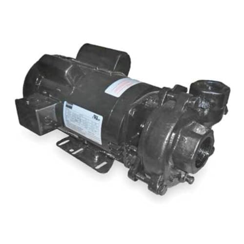 Dayton Cast Iron 3 HP Centrifugal Pump image