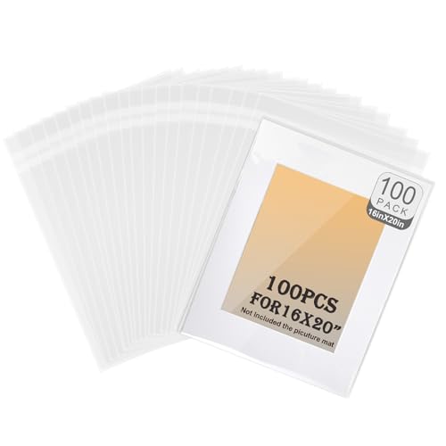 Lot de 100 sacs de rangement transparents 41x50 cm pour impressions d'art