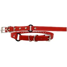 Sparky Pet Co - 3/4" ECollar Replacement Strap - Bungee Loop Dog Collar - Waterproof Biothane - Adjustable - Metal Clasp - for Invisible Fence Systems,Red