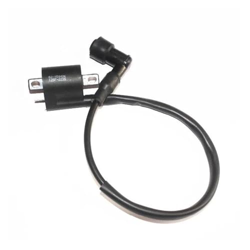 Bobine d'allumage pour rouler sereinement en Empire Owen 125