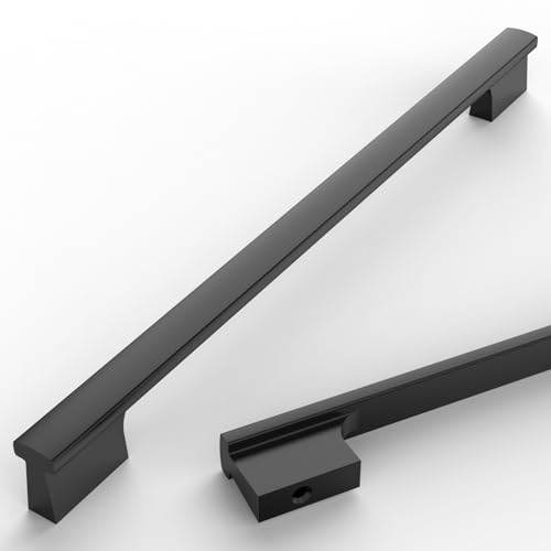 10pbN 10C` (254mm) }bgubN Lb`Lrlbgnh Lrl Lb` HIonh hbT[vp