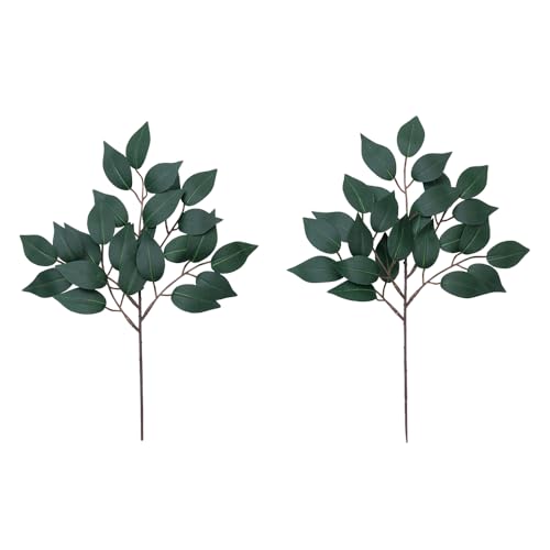 ACfBA(Aimedia) _Ip  2g 30cm   _  sv ͂Ȃ  p dp Q ~ ފ c