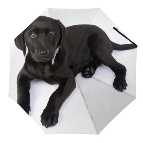 Parapluie pliable chat noir automatique, l'élégance compacte
