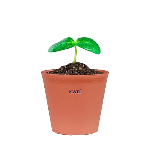 Image of KWEL N Pot for Home Garden | Planters for Outdoor Balcony and Nursery | Flower Planting Pots Terracotta Color (Pack of 24)