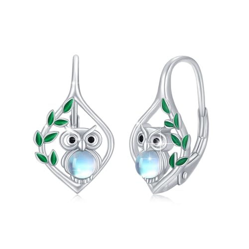Boucles d'oreilles grenouille argent et pierre de lune pour célébrer la nature