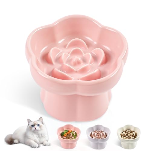 Cat Slow Feeder Bowl Set