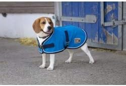 (Ekia) 3338025596114 Horse Riding Equipment DL Dog ​​POLYFUN Rug Navy 61 409004761, oner Size, Other