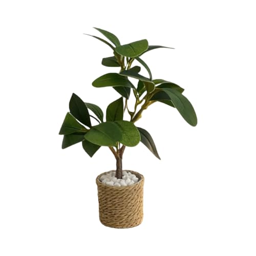 �h�[���n�E�X �A��,�l�H�ϗt�A�� �ɏ��X�P�[���͌^,�~�j�`���A�n�E�X �A�N�Z�T���[ - �N���X�}�X�A�a�����A�t�F�A���[�K�[�f���A�f�X�N�A���ӁA�Ƌ�̑����p