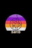  David Name Gift Personalized Baseball Notebook Planner, Daily Journal for Sport Lovers: A5, Meal, Diary, 5.24 x 22.86 cm, 120 Pages, Journal, 6x9 inch, Mom, Life, Work List