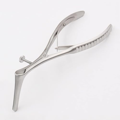 @g @@ XeXX`[ i eTɍœK (傫)