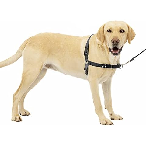PetSafe Easy Walk No-Pull Dog Harness Cover
