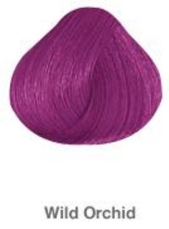 Pravana Chroma Silk Creme Hair color Vivids Wild Orchid by Thinkpichaidai