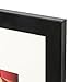 The Display Guys - 16x20 V-Series Low Profile Wooden Picture Frames - 11x14 Mat - Plexiglass - Wall - Black - 6-Pack