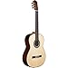 Cordoba C10 SP Classical, All-Solid Woods, Acoustic Nylon String Guitar, Luthier Series, with Polyfoam Case