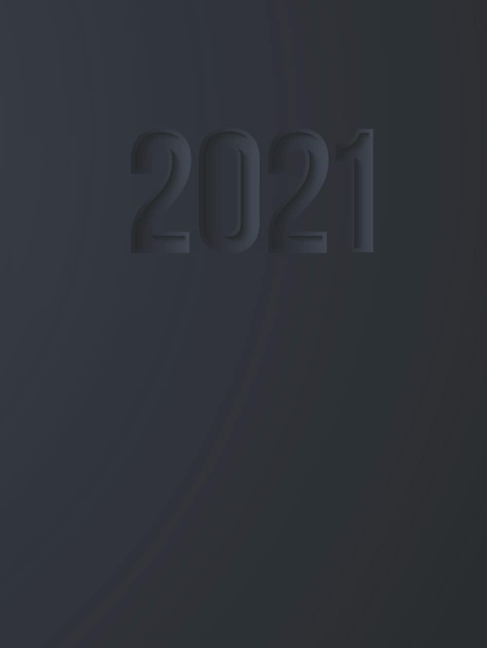 2021 Diary A4 One Page per Day: 8.5 x 11 - Hourly Calendar Appointment Daily Planner Book - Jan 2021 - Dec 2021 - Daily Priorities, Notes and To Do List: HARDCOVER