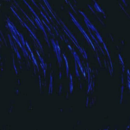 Prussian Blue Williamsburg 150ml éviter les mélanges ternes en peinture huile - 3