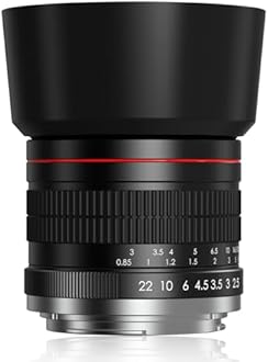 85mm f1.8 Portrait Lens - E Mount Lens for Sony, Medium Telephoto Camera Lenses Manual for Sony A7R A7S A7 A6500 A6400 A6300 A6000 A5100 A5000 NEX-7 NEX-6 NEX-5T NEX-5R etc