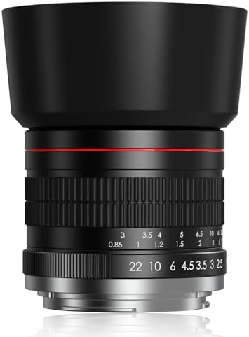 85mm f1.8 Portrait Lens - E Mount Lens for Sony, Medium Telephoto Camera Lenses Manual for Sony A7R A7S A7 A6500 A6400 A6300 A6000 A5100 A5000 NEX-7 NEX-6 NEX-5T NEX-5R etc