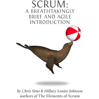 Scrum: a Breathtakingly Brief and Agile Introduction