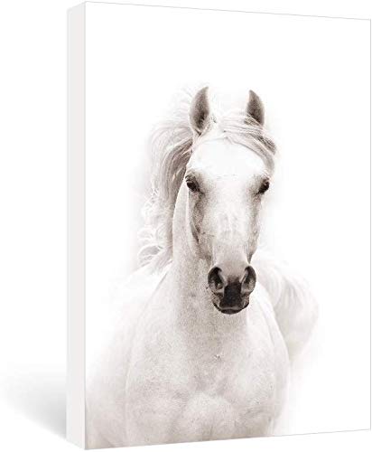 SUMGAR Horse Pictures Wall Decor Large Wall Art for Living Room Bedroom Oiffice, Black White Animal Framed Canvas Paintings Contemporary Modern Farmhouse Artwork, 36x24 in