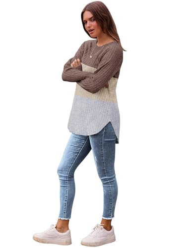 Image of Saloogoe Long Sleeve Shirts for Women 2025 Fall Clothes Tunic Tops Loose Fit Dressy Crewneck Pullover Sweaters Curved Hem