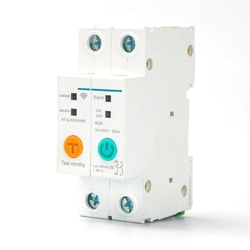 Interruptor inteligente WiFi 2P para hogar conectado eWelink de 16A 2