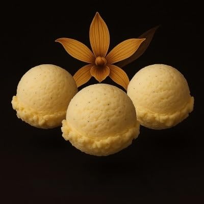 [2種計1540ml]バニラジェラート 高石市×マダガスカルの万博コラボ商品 ふるさと納税限定