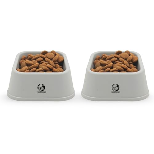 Image of Foodie Puppies Cat Food and Water Feeder - 150ml (Grey Quadrant, Pack of 2) | Durable, Anti Vomiting, Healthy Cat Bowl for Persian Cat Prevent Tipping Over | Elevated Feeder for Cats and Small Dogs