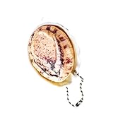 Miniatura Palourdes Almeja/Abalone Juguete Creativo Juego Accesorio Decoración Tema Mar Llavero de resina Seguro Colgante Joyería