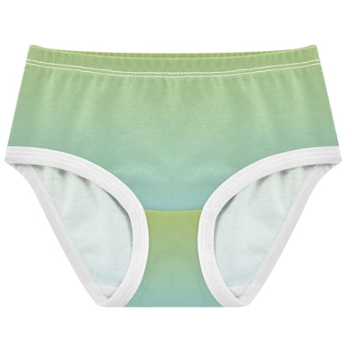 Joisal Green Cute Blue Gradient Girls Underwear Toddler 2t Cotton Girl Panties Cute Print Kids Undies Briefs