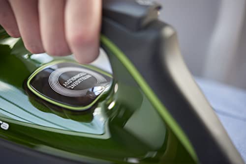 Rowenta Silence Steam PRO Iron, 2800 W, 1.3 Litre, Black and Grey