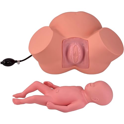 hocvseo Modelo De Simulador De Nacimiento, Simulador De Demostración De Parto a Tamaño Real, Modelo De Enseñanza De Parto De Posiciones Fetales Anormales Normales, para Enseñanza Médica