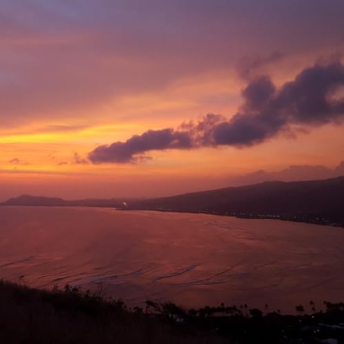 In Flux: Dancing Between Shadows and Light [mini]