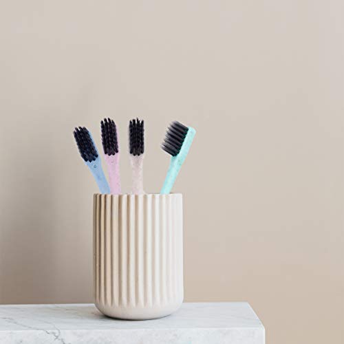 HEALLILY Conjunto de Escovas de Dentes DescartÃ¡veis â€‹â€‹100 Unidades Escova de Dentes PrÃ©-Fabric