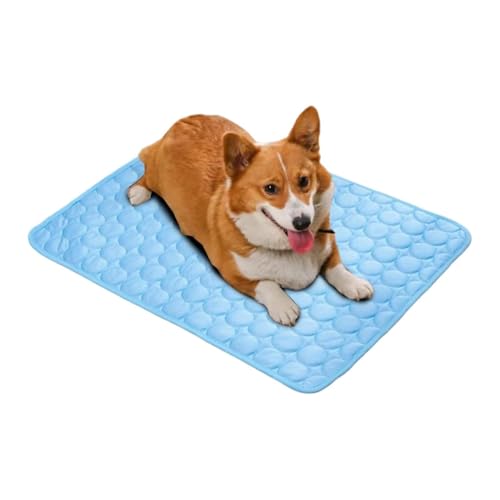 Coussin de refroidissement pour chien contre la chaleur d'été en intérieur