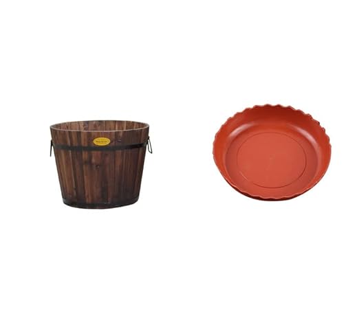 ECXL[oPcv^[ؐAؔؐM̐A̓t[|bgNGCeBuؐt[|bgÂYEhooRj[̖؃{bNXW[V[ARei (19×19.5×26cm{EH[^[gC)