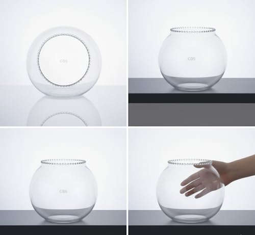 Image of CAS 1L to 14L Glass Fish Bowl (12 inches, Surface (Glass)) 13.5 litres
