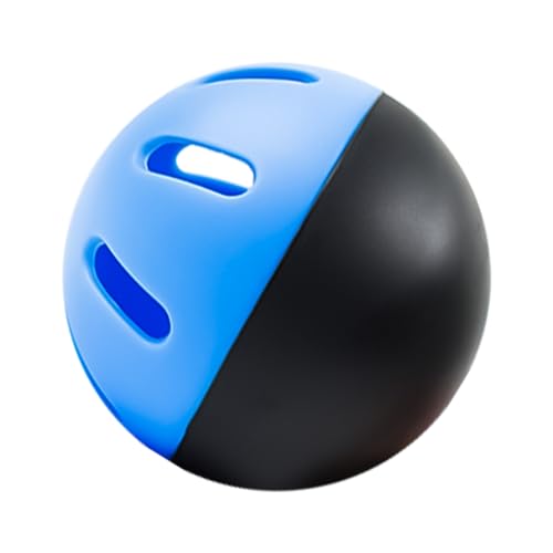 Laikoutd Limited Flight Hollows Softballs Batting Hitting Sports Hitting Baseball Practice Training Baseballs