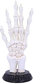 Nemesis Now U4942R0 Skeletal Palmistry Chriomancy Fortune Telling Skeleton Hand Figurine, Polyresin, White, 22.8cm