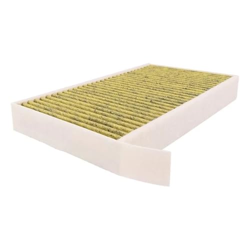 Filtro de habitáculo para Tesla Model 3 y Model Y 110768100A