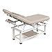 pouseayar Heavy Duty Electric Stationary Massage Table with Backrest Adjustable and Storage Space for Treatment/Medical Spa/Facial/Beauty/Massage Bed and More - 30 x 75 - Beige Gray