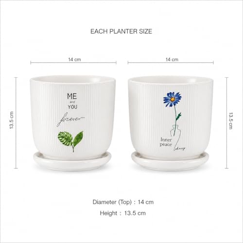 Image of Xtore Charming Printed Ceramic Planter Set of 2 with Drainage Trays | Artistic Indoor Plant Pots for Desk, Shelf & Gift Styling (Pack of 2 - Planter only)
