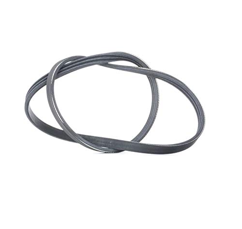 Continental Contitech 3PK850 Courroie trapézoïdale à nervures